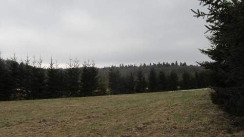 Działka rolna w gminie Krasiczyn