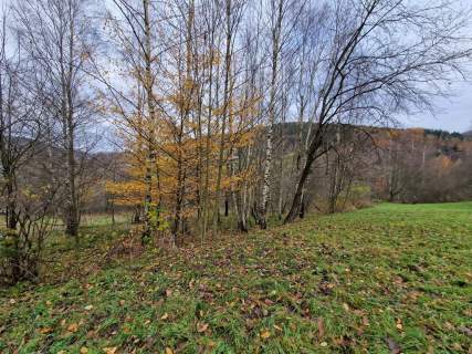 Działka budowlana na sprzedaż, 2900 m2, Stryszawa