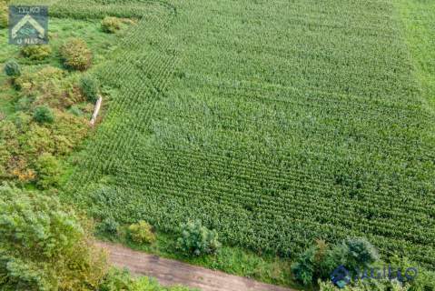 Działka rolna na sprzedaż, 2544 m2, Krzywe Koło