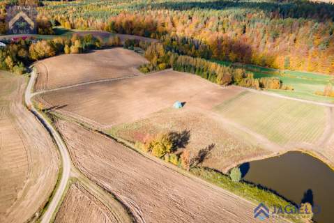 Działka siedliskowa na sprzedaż, 3000 m2, Borzestowo