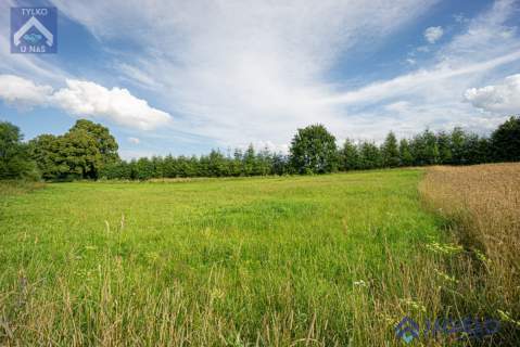 Działka rolna na sprzedaż, 4200 m2, Szczodrowo