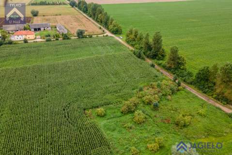 Działka rolna na sprzedaż, 2544 m2, Krzywe Koło