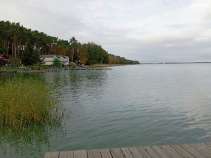 Domek letniskowy w sercu lasu nad jeziorem.