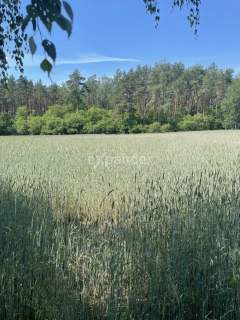 Działki pod zabudowę jednorodzinną.