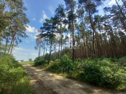 DZIAŁKA LEŚNA POD REKREACJĘ 789 M2 MIERZYNEK LAS 