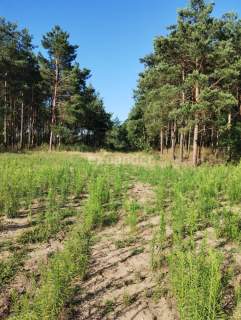 BLINNO DZIAŁKA POD ZABUDOWĘ BEZ MPZP 1,5 HA