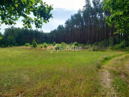 DZIAŁKA Z WARUNKAMI ZAB. 5,9108 HA Z MOŻL. PODZIAŁ